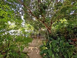 Picardy Gardens (D16), Semi-Detached #605431741